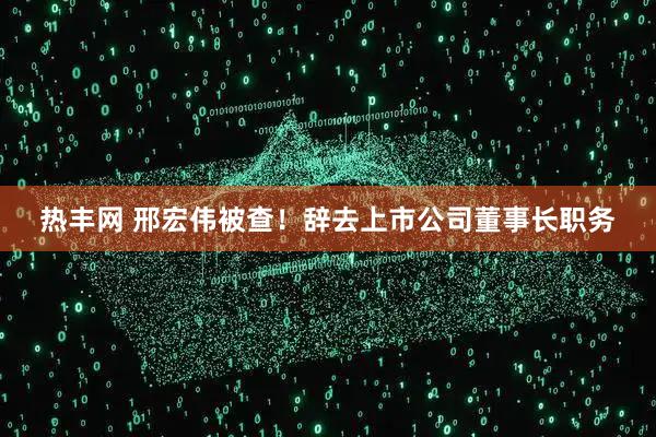 热丰网 邢宏伟被查！辞去上市公司董事长职务